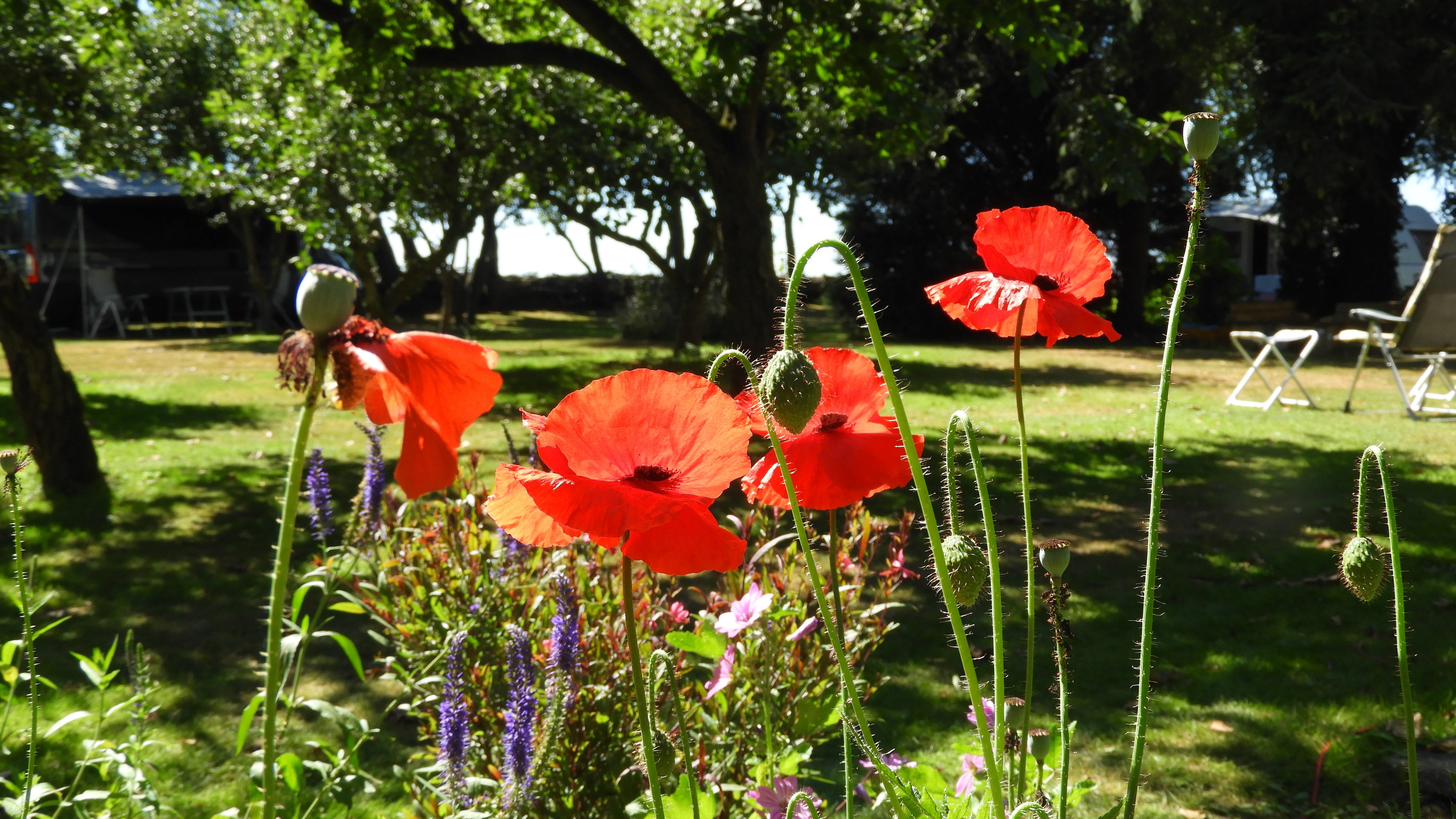 Natuurkampeerterrein Wildemansheerd