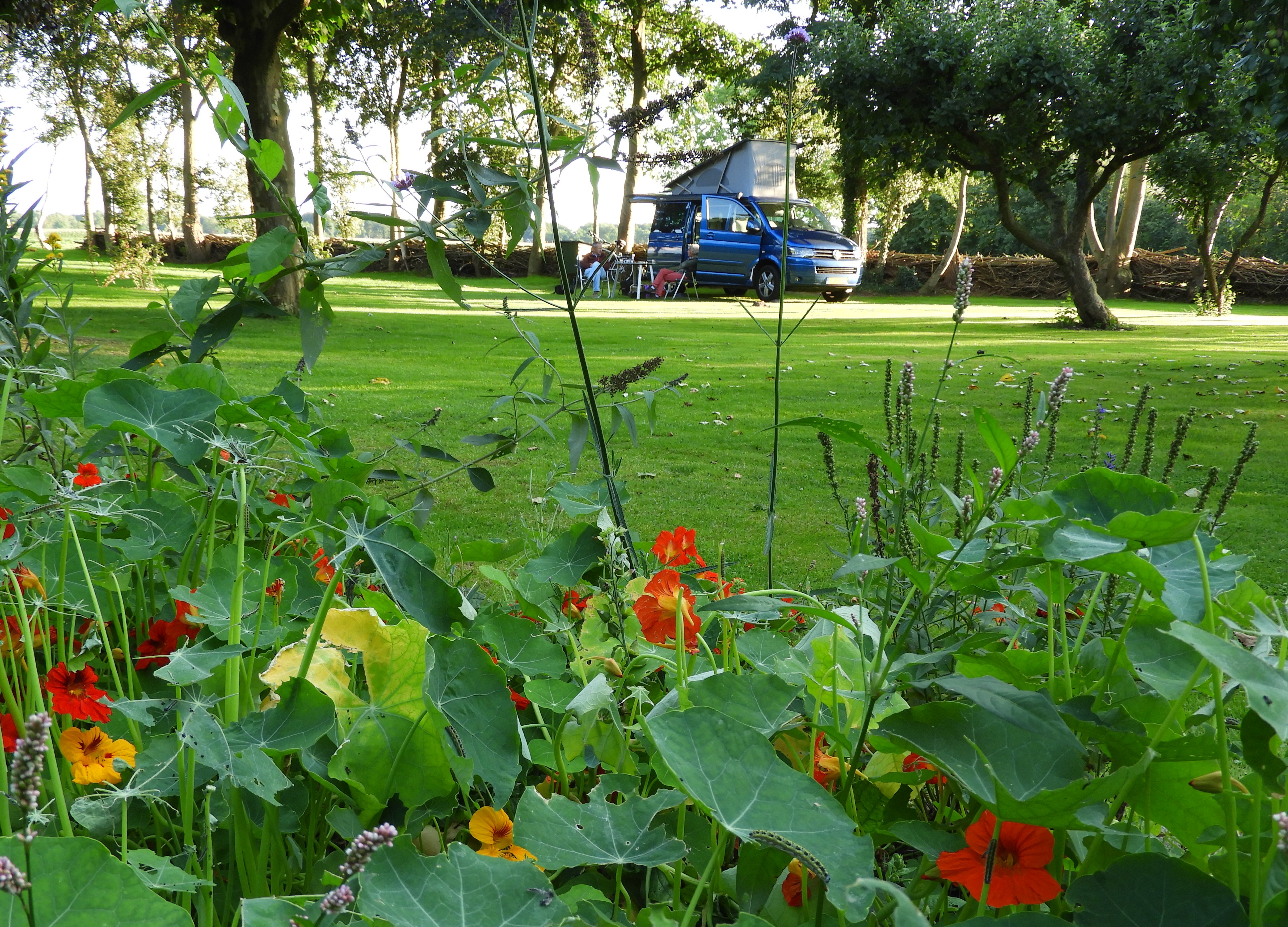 Natuurkampeerterrein Wildemansheerd