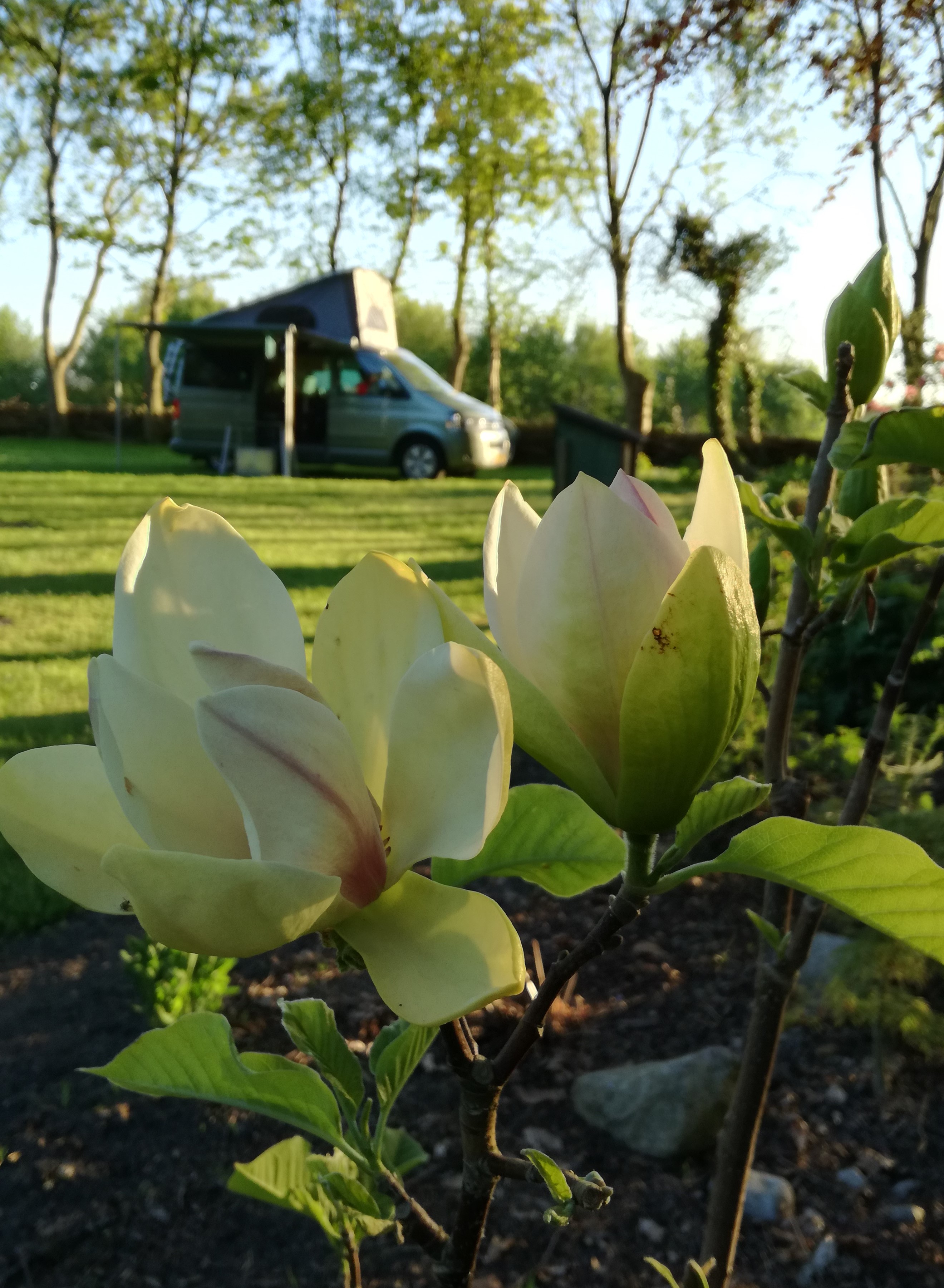 Natuurkampeerterrein Wildemansheerd