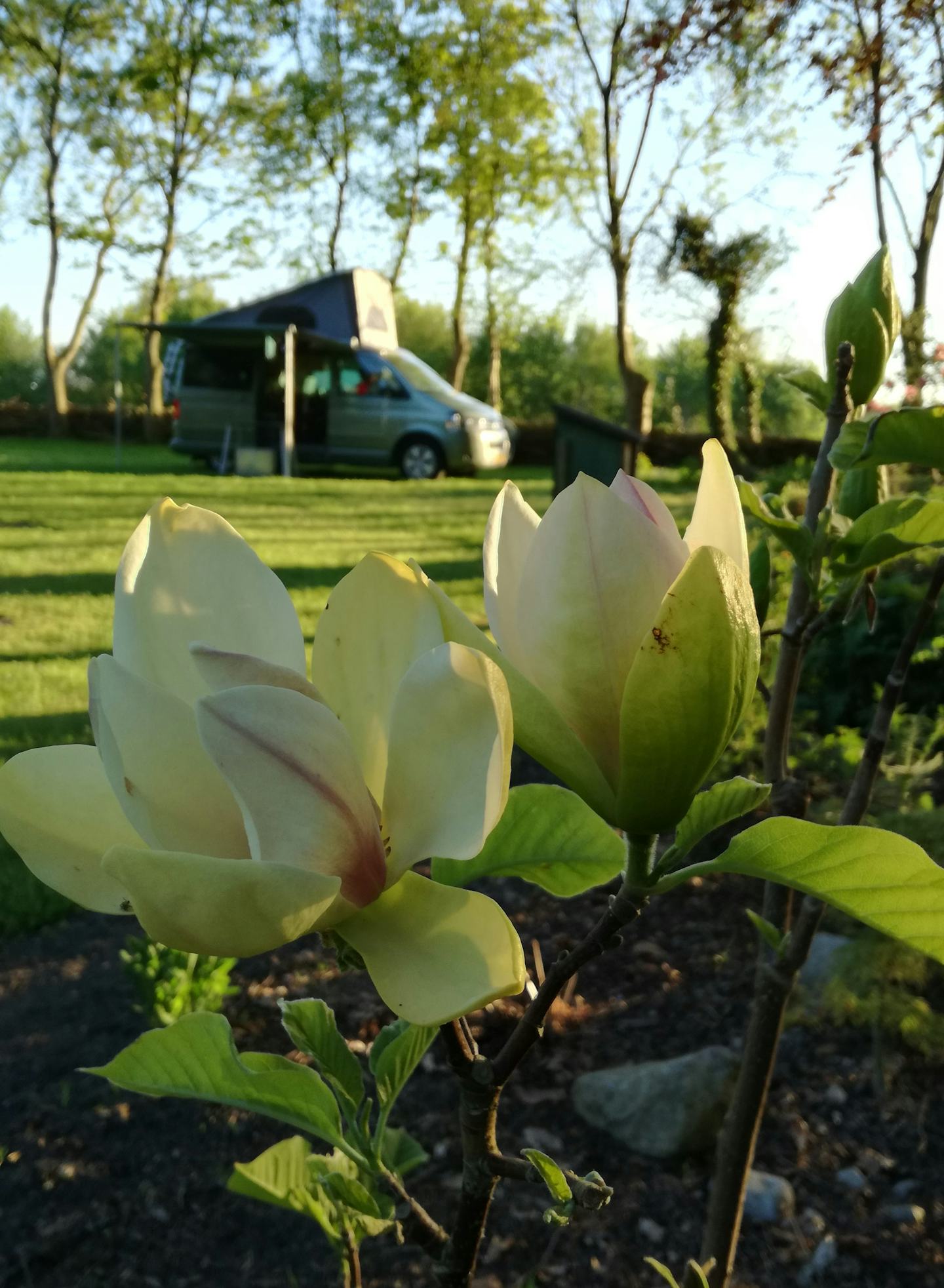 Natuurkampeerterrein Wildemansheerd