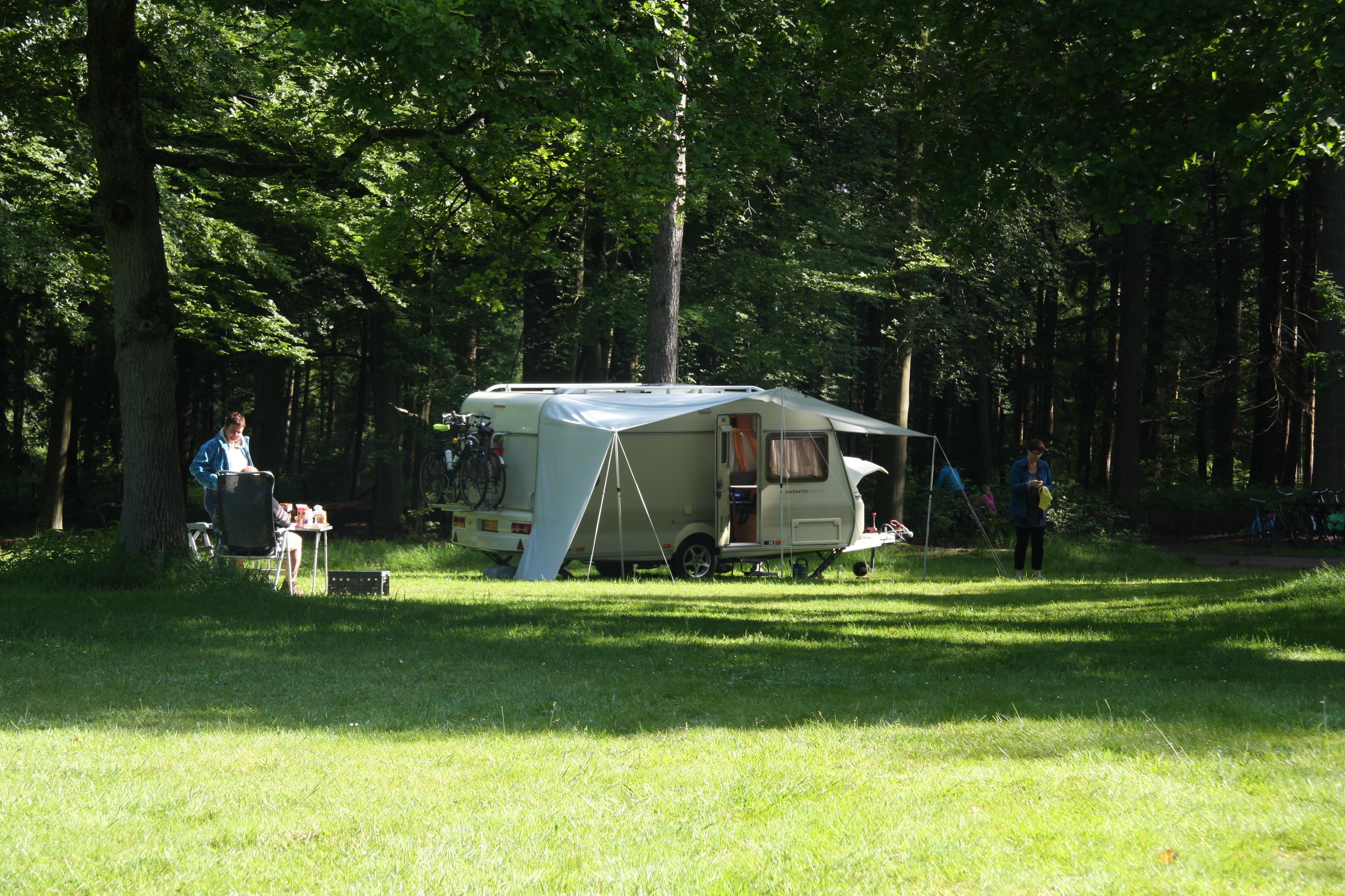 Natuurkampeerterrein Zegenoord