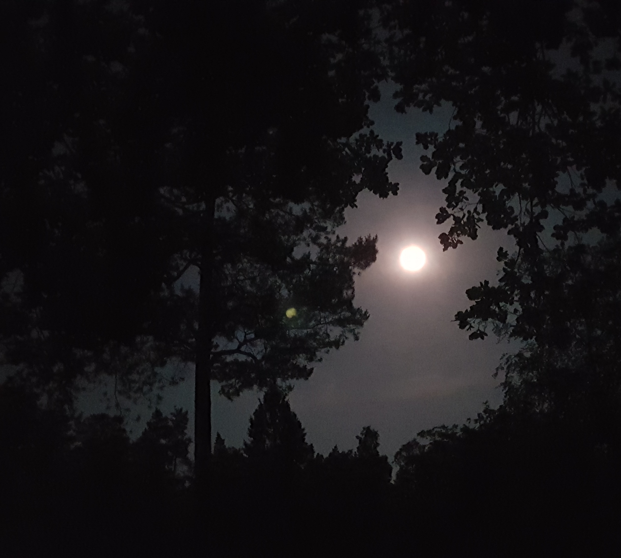 Natuurkampeerterrein Zegenoord