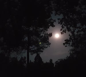 Natuurkampeerterrein Zegenoord