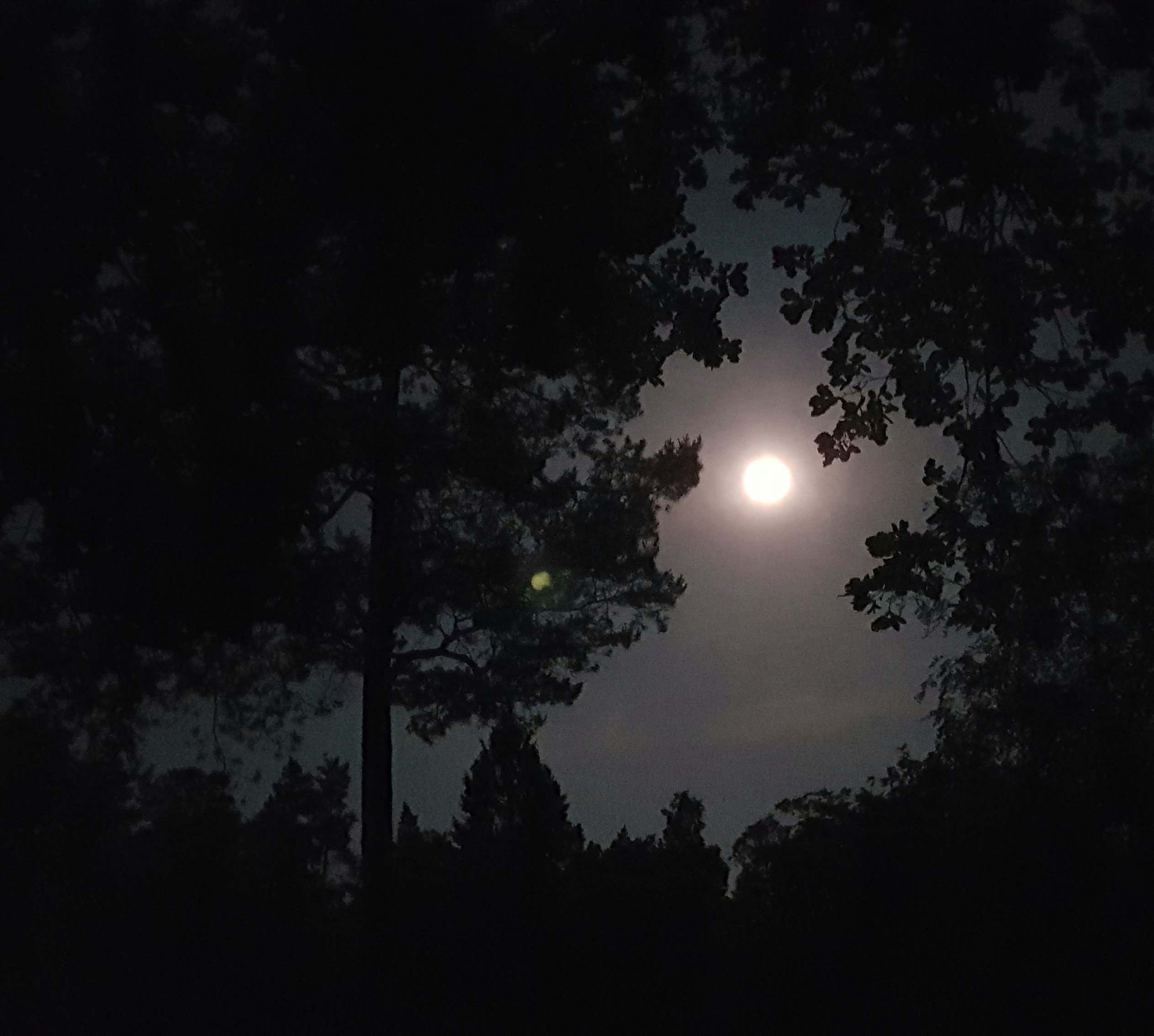 Natuurkampeerterrein Zegenoord