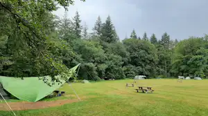 Natuurkampeerterrein Zegenoord