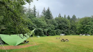 Natuurkampeerterrein Zegenoord