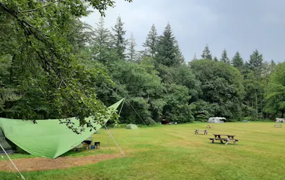 Natuurkampeerterrein Zegenoord