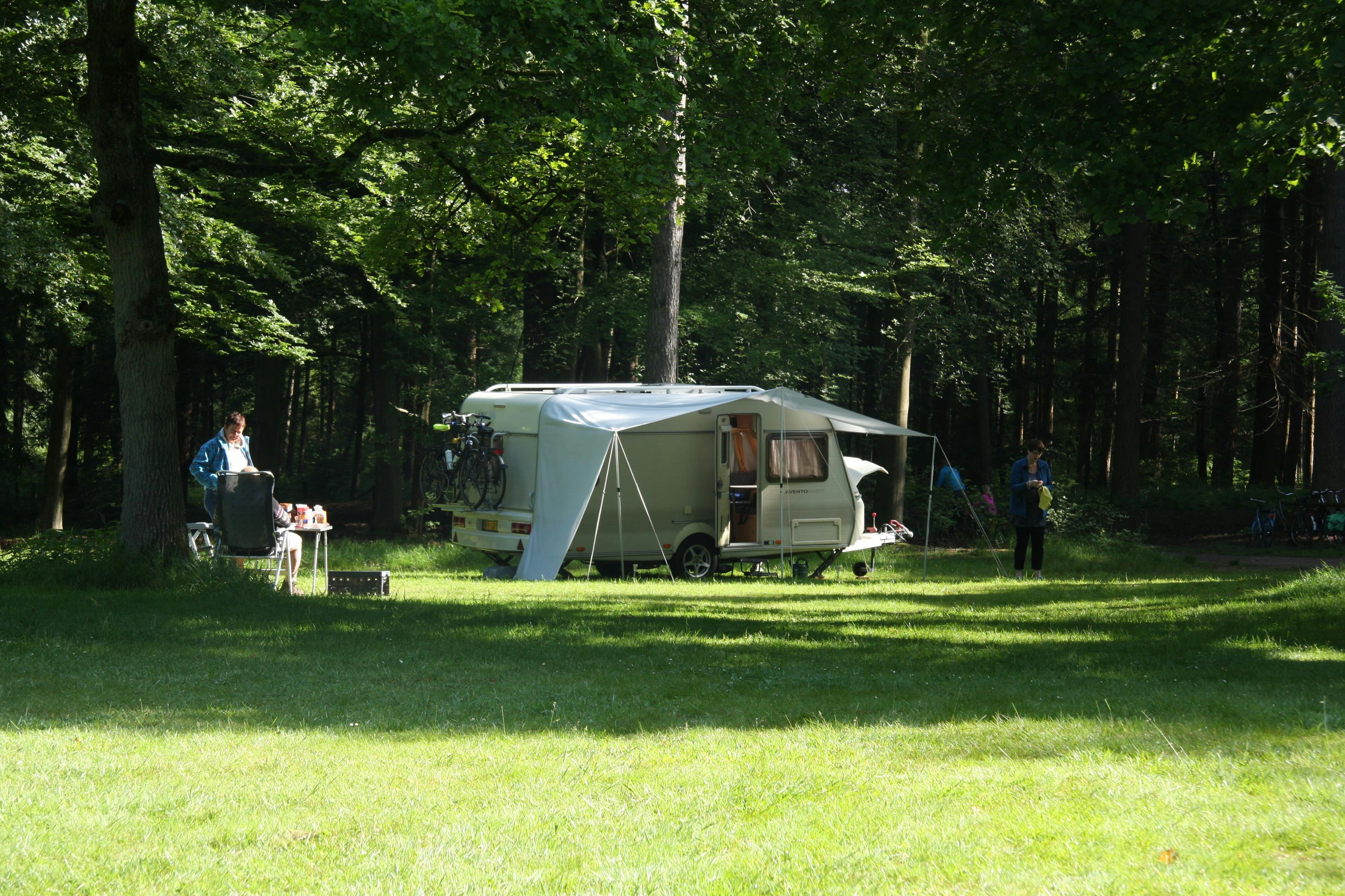 Natuurkampeerterrein Zegenoord