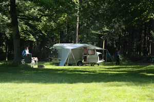Natuurkampeerterrein Zegenoord
