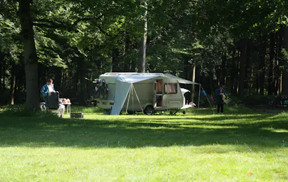 Natuurkampeerterrein Zegenoord