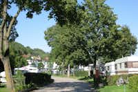 Neckarcamping Tübingen - Wohnwagenstellplätze im Grünen auf dem Campingplatz