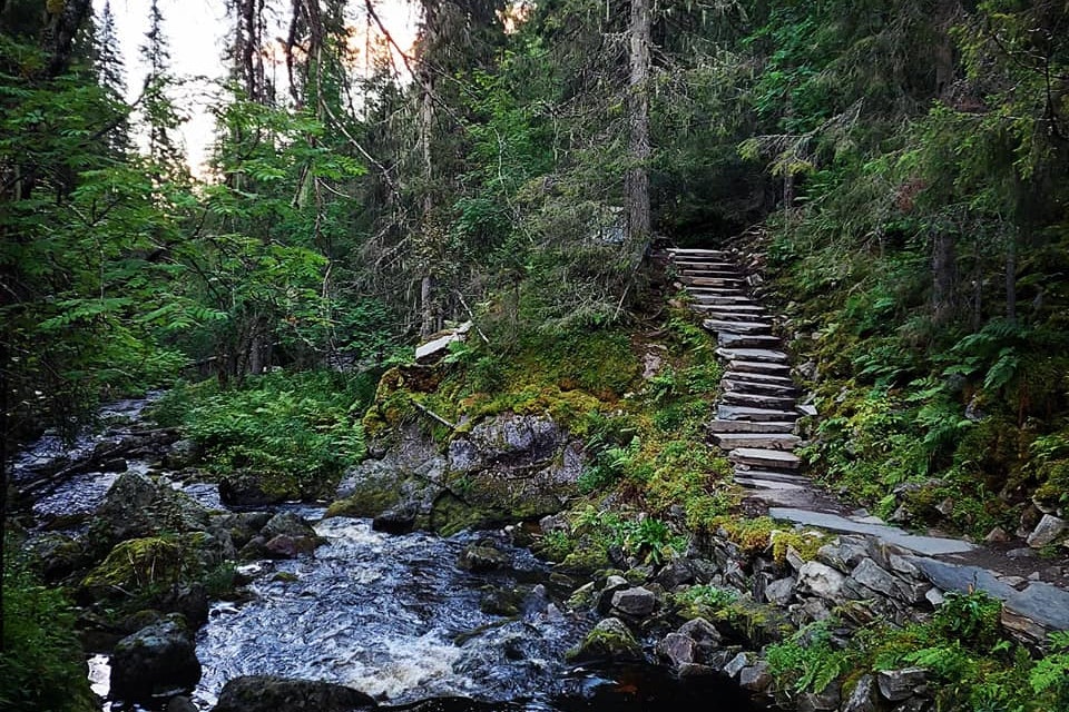 Nederhögen Vildmarkscenter Camping - Wasserfall in der Umgebung des Campingplatzes