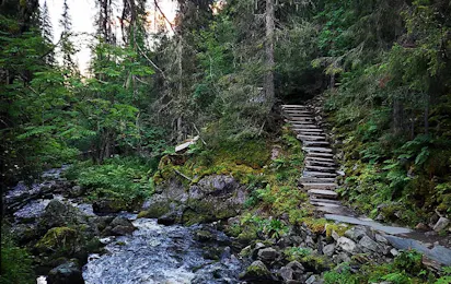 Nederhögen Vildmarkscenter Camping