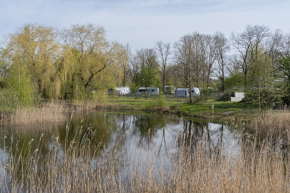 De Negende Zaeligheyt