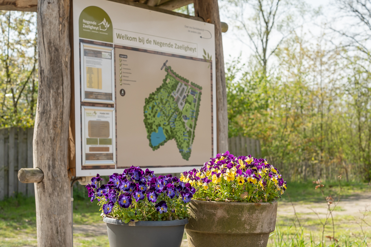 De Negende Zaeligheyt