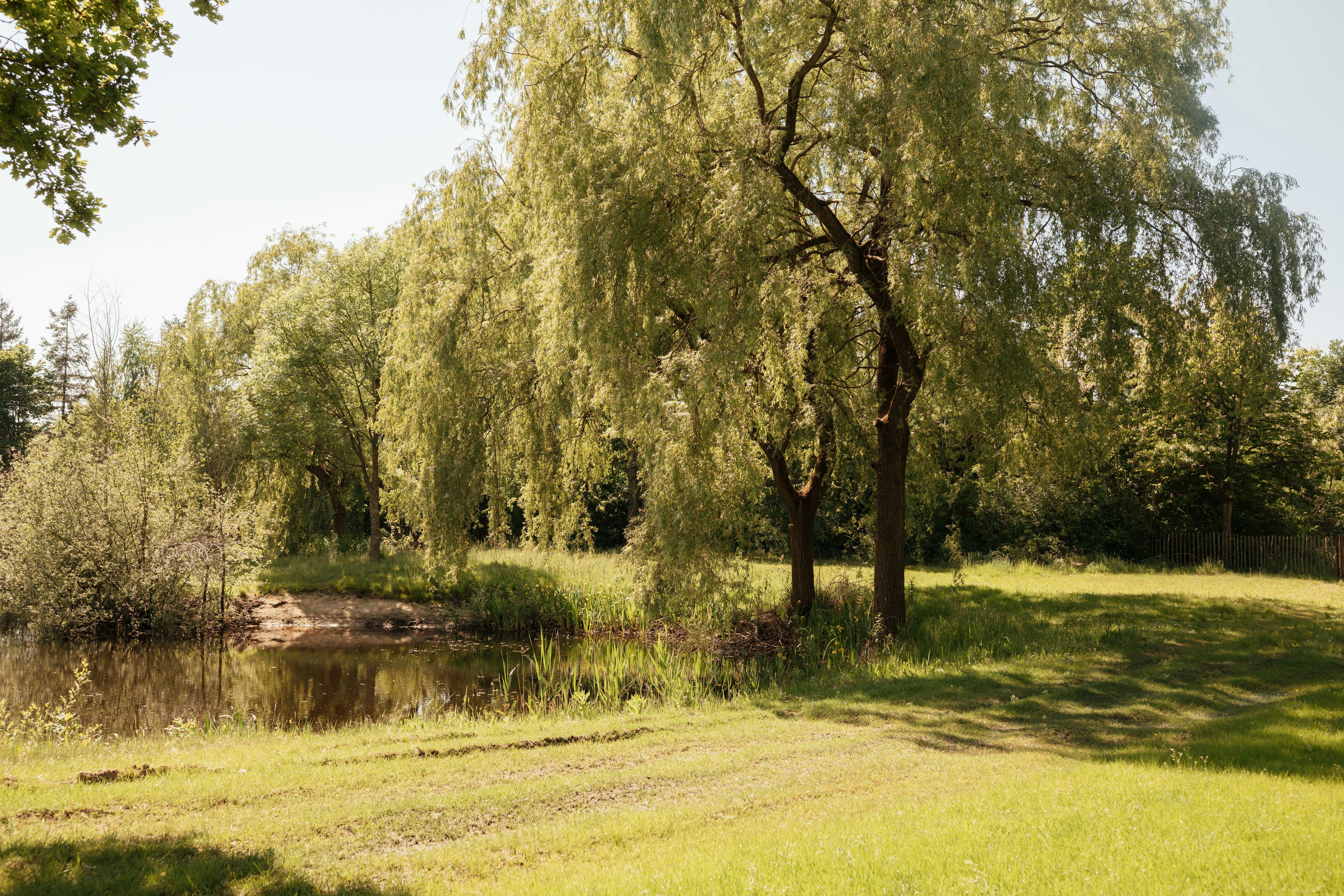 Negende Zaeligheyt - Blick auf die Wiese und das Ufer des Sees