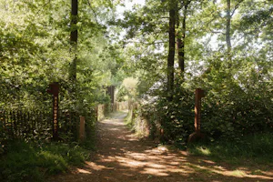 Negende Zaeligheyt - Spazierweg in der Natur