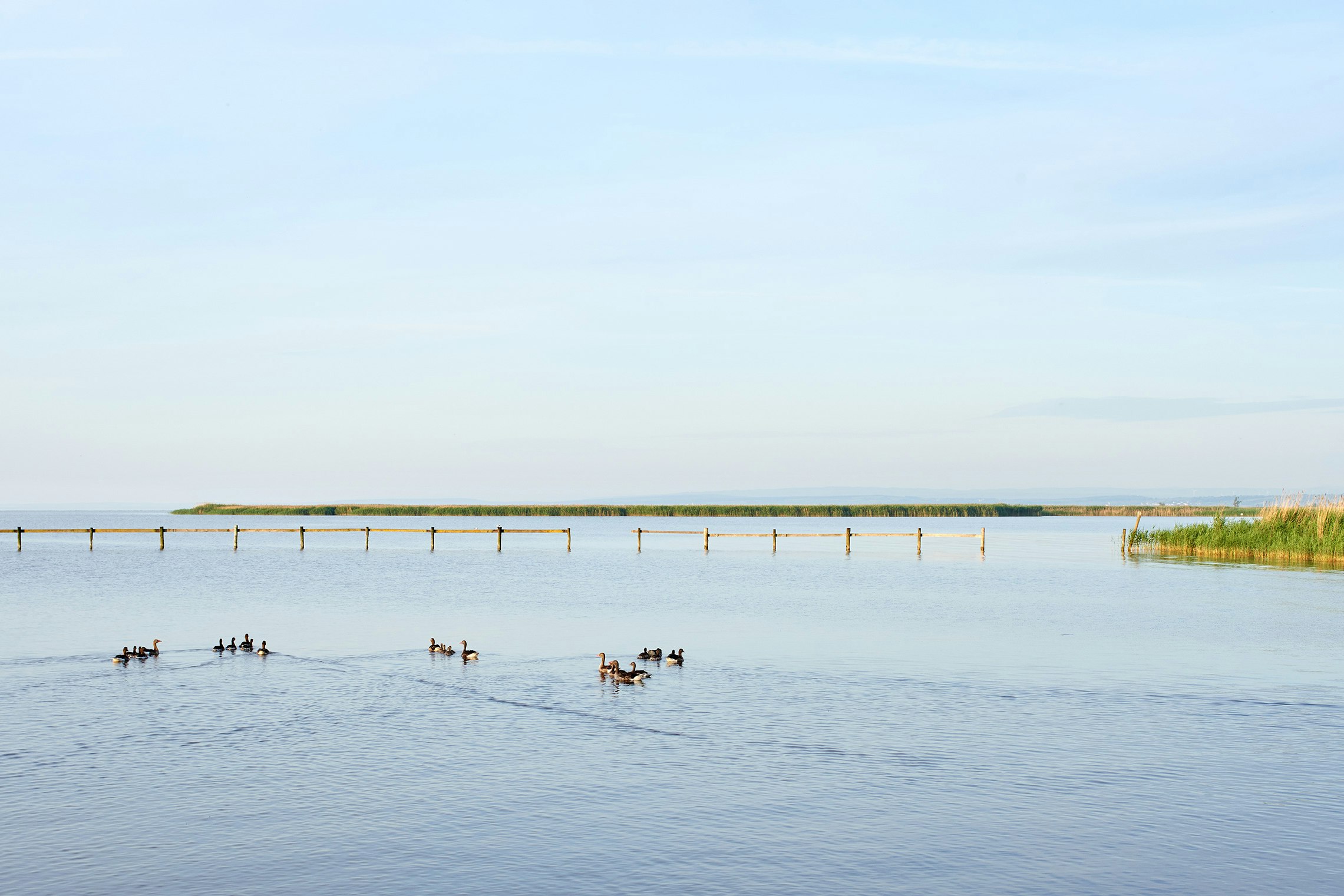 Neuer Strand Neusiedler See - Blick auf den See am Campingplatz