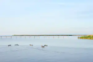 Neuer Strand Neusiedler See - Blick auf den See am Campingplatz