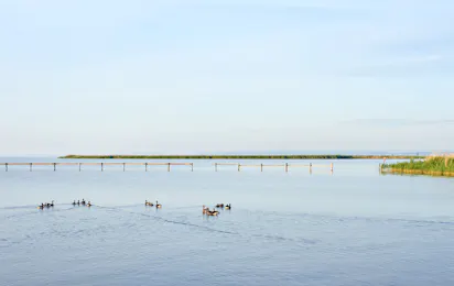 Neuer Strand Neusiedler See