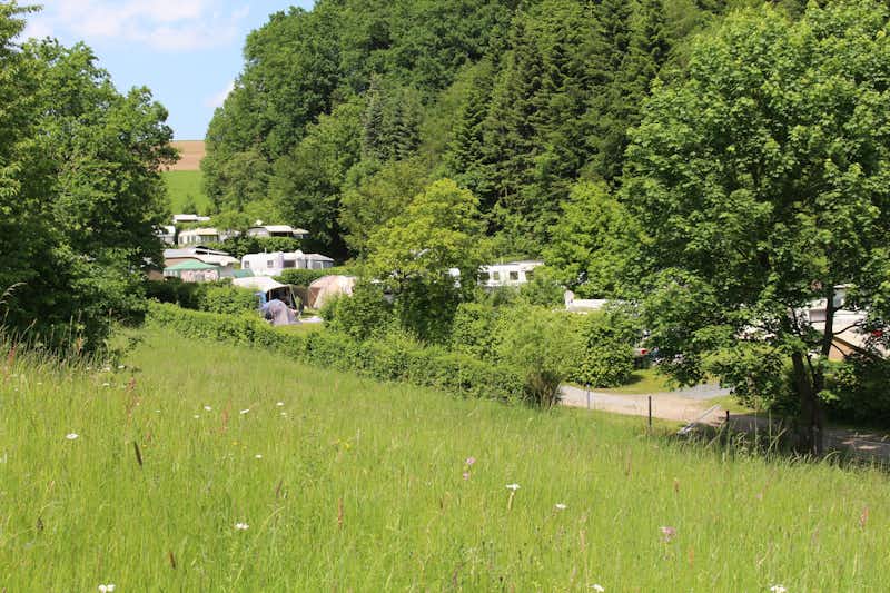 Nibelungen-Camping am Schwimmbad - Wohnwagen- und Zeltstellplatz vom Campingplatz umgeben von Wald und Wiesen