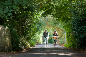 Ninham Country Holidays