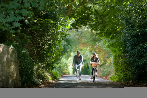 Ninham Country Holidays