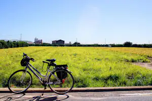 Ein Fahrrad steht am Rand eines Campingplatzes auf einem Weg, dahinter grünes Feld und Gebäude in der Ferne.