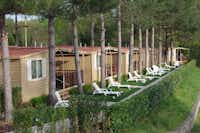 Norcenni Girasole Village  -  Mobilheime vom Campingplatz mit Veranden und Liegestühlen