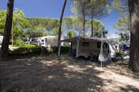 Norcenni Girasole Village  -  Wohnmobilstellplatz und Wohnwagenstellplatz vom Campingplatz im Schatten von Bäumen
