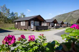 Campinghaus mit Holzfassade und Veranda, davor Blumenbeet mit pinken Blüten, gepflasterter Weg und Berge im Hintergrund.