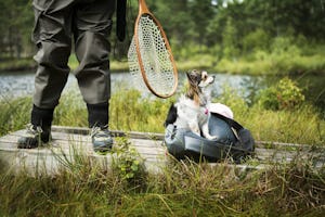 Nordic Camping Hökensås - Angler mit Hund am See vom Campingplatz