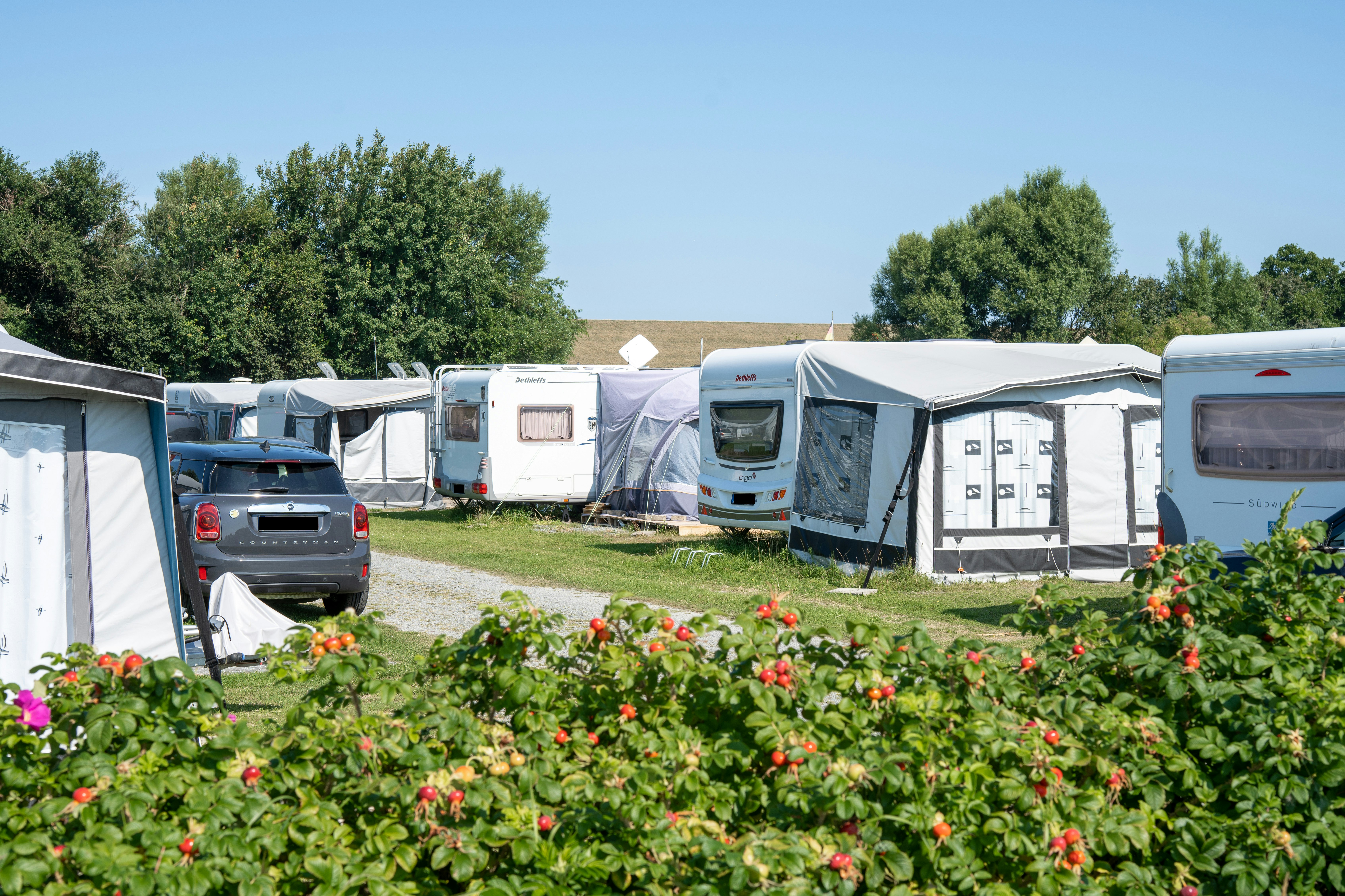Nordsee-Camp Norddeich - Standplätze auf dem Campingplatz