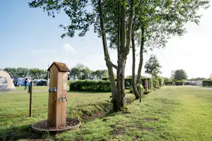 Holzschrank am Campingplatz im Grünen, neben Bäumen und Rasenfläche, im Hintergrund Zelte und ein Weg.