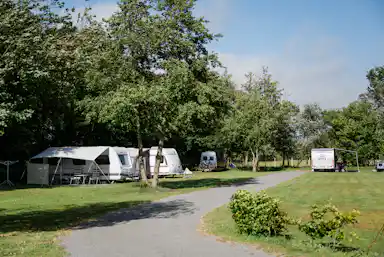 Nordseecamping Zum Seehund