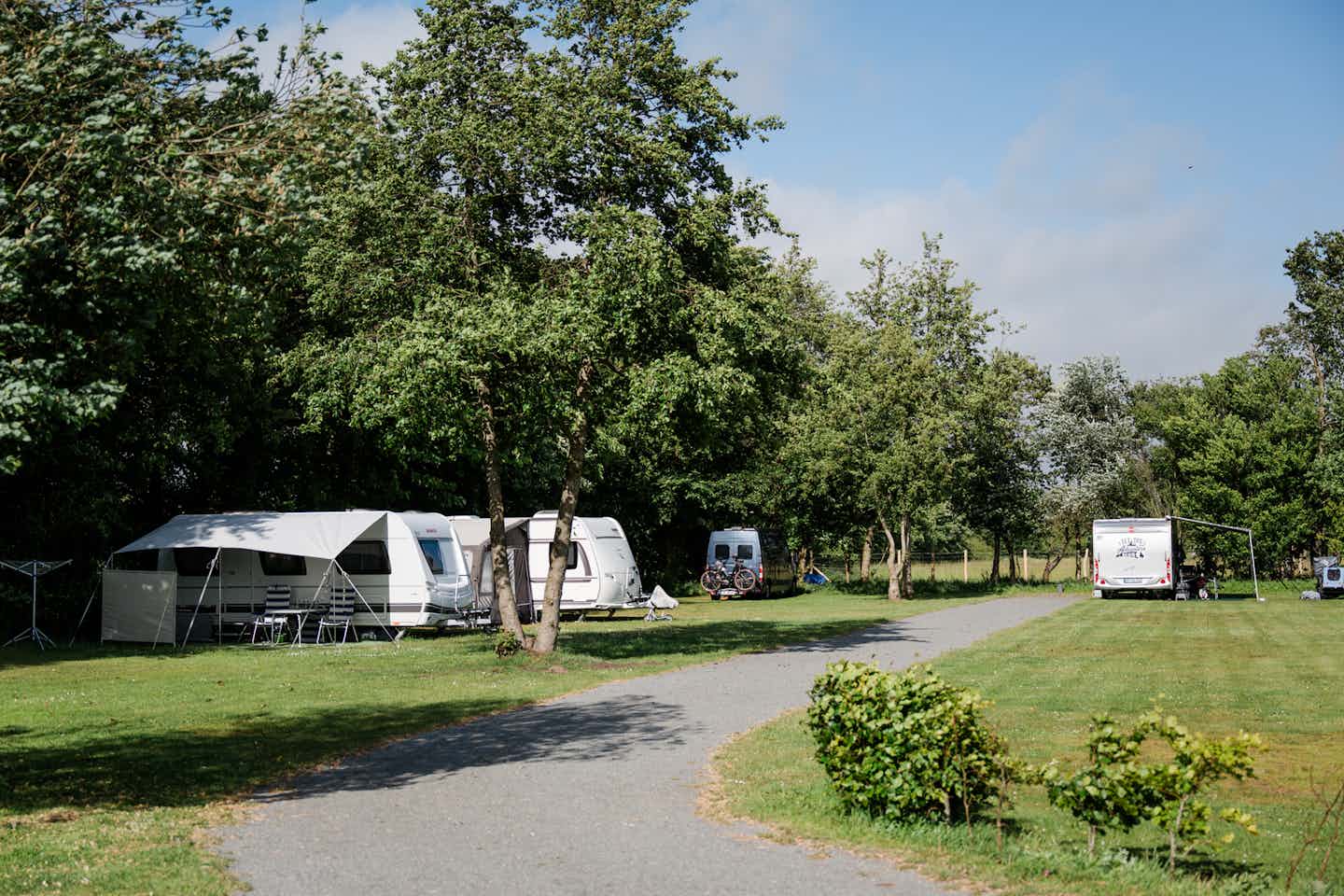 Nordseecamping Zum Seehund