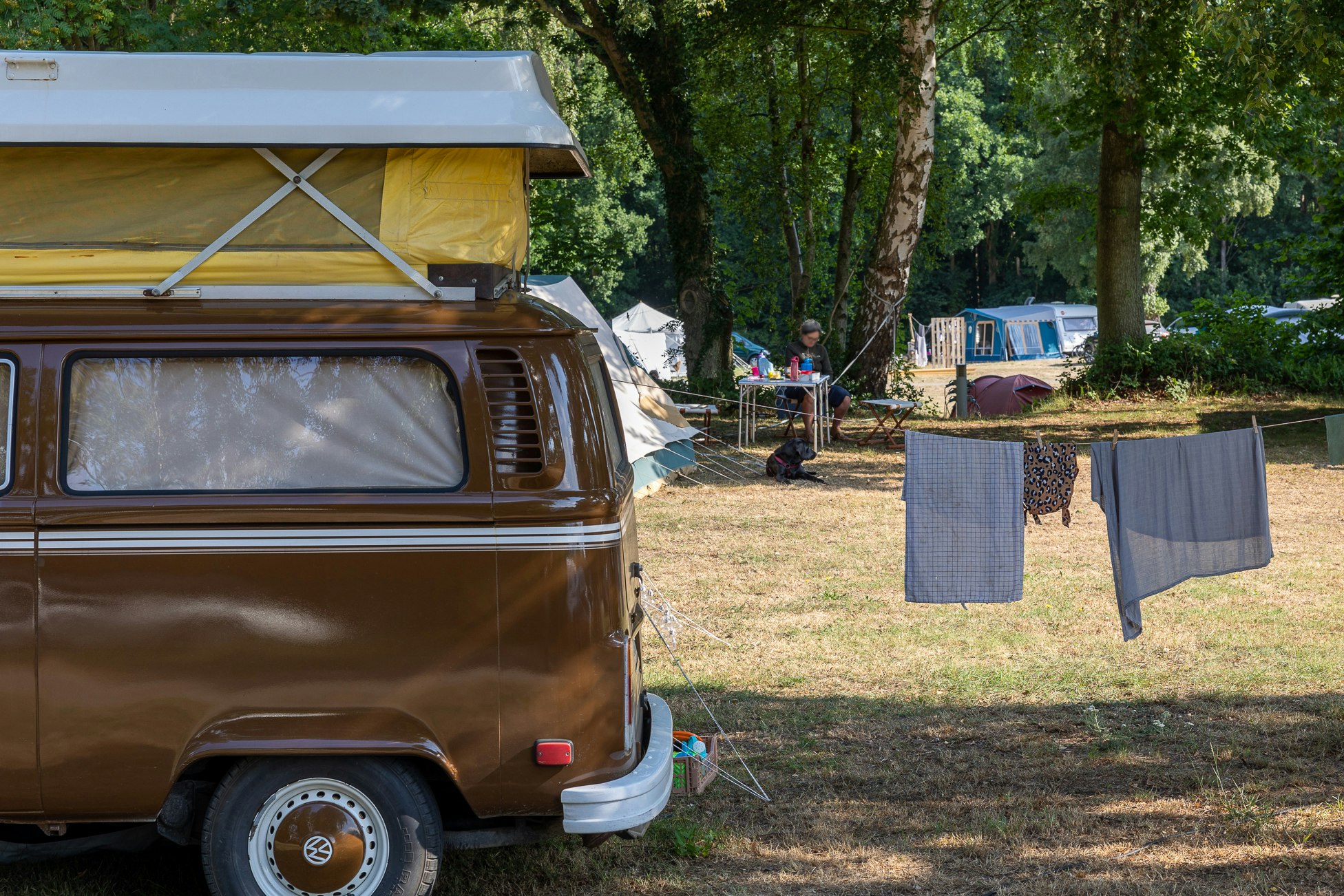 Nordskoven Strand Camping - Wohnmobil- und  Wohnwagenstellplätze auf dem Campingplatz