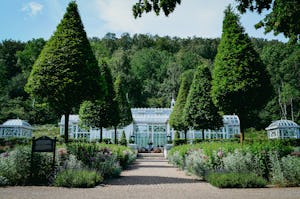 Caravan Club Norrvikens Camping Norrviccens CC Camping - Botanischer Garten in der Umgebung des Campingplatzes