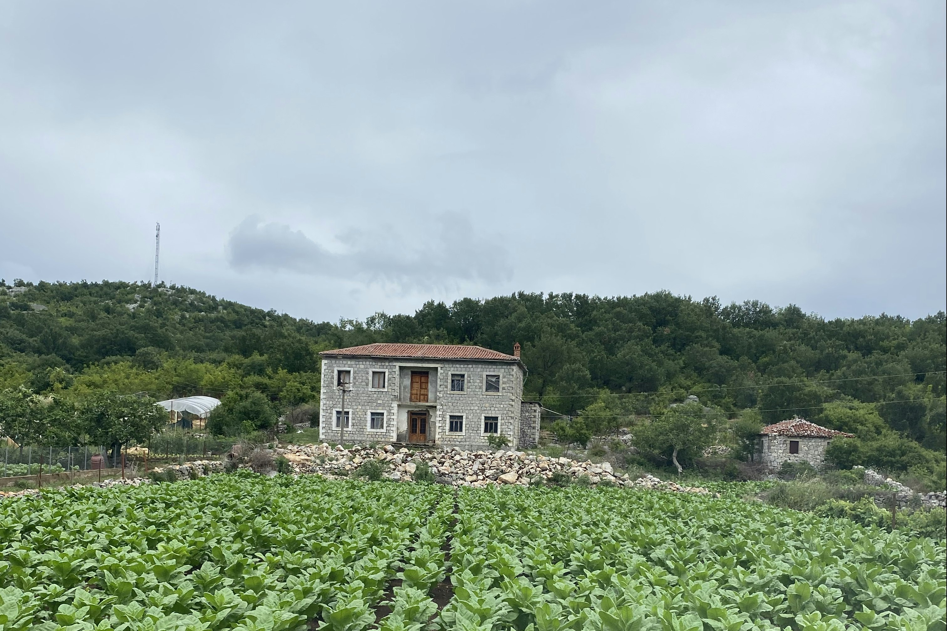 North Gate Guest House & Camping