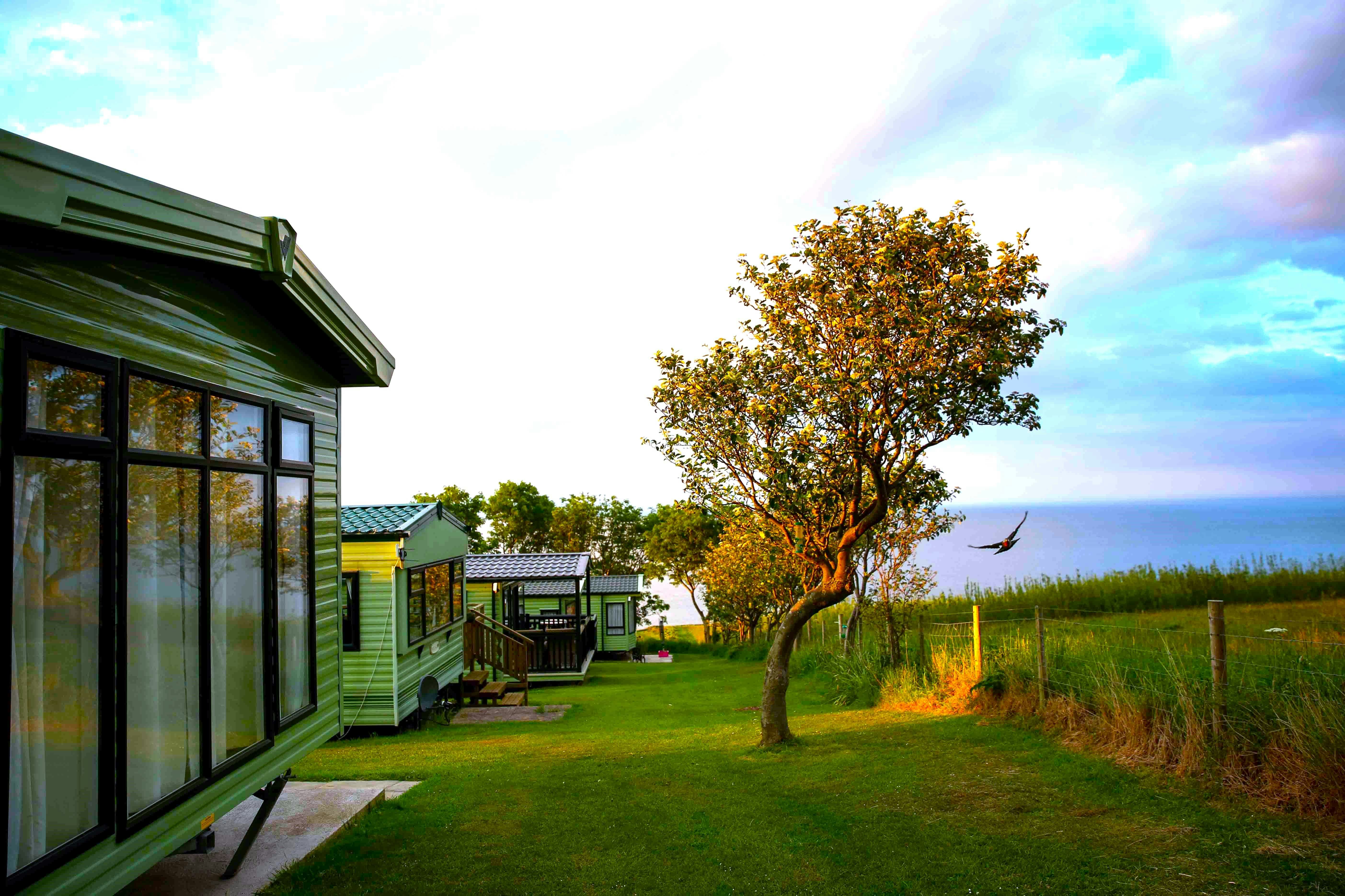 Wohnwagen mit Terrasse am Campingplatz, Rasenfläche und Baum am Rand, weitere Wohnwagen im Hintergrund, Blick Richtung Meer.