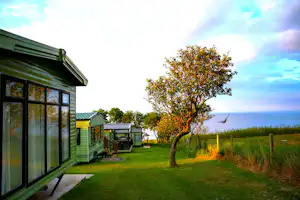 Wohnwagen mit Terrasse am Campingplatz, Rasenfläche und Baum am Rand, weitere Wohnwagen im Hintergrund, Blick Richtung Meer.