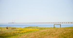 Nyborg Strandcamping