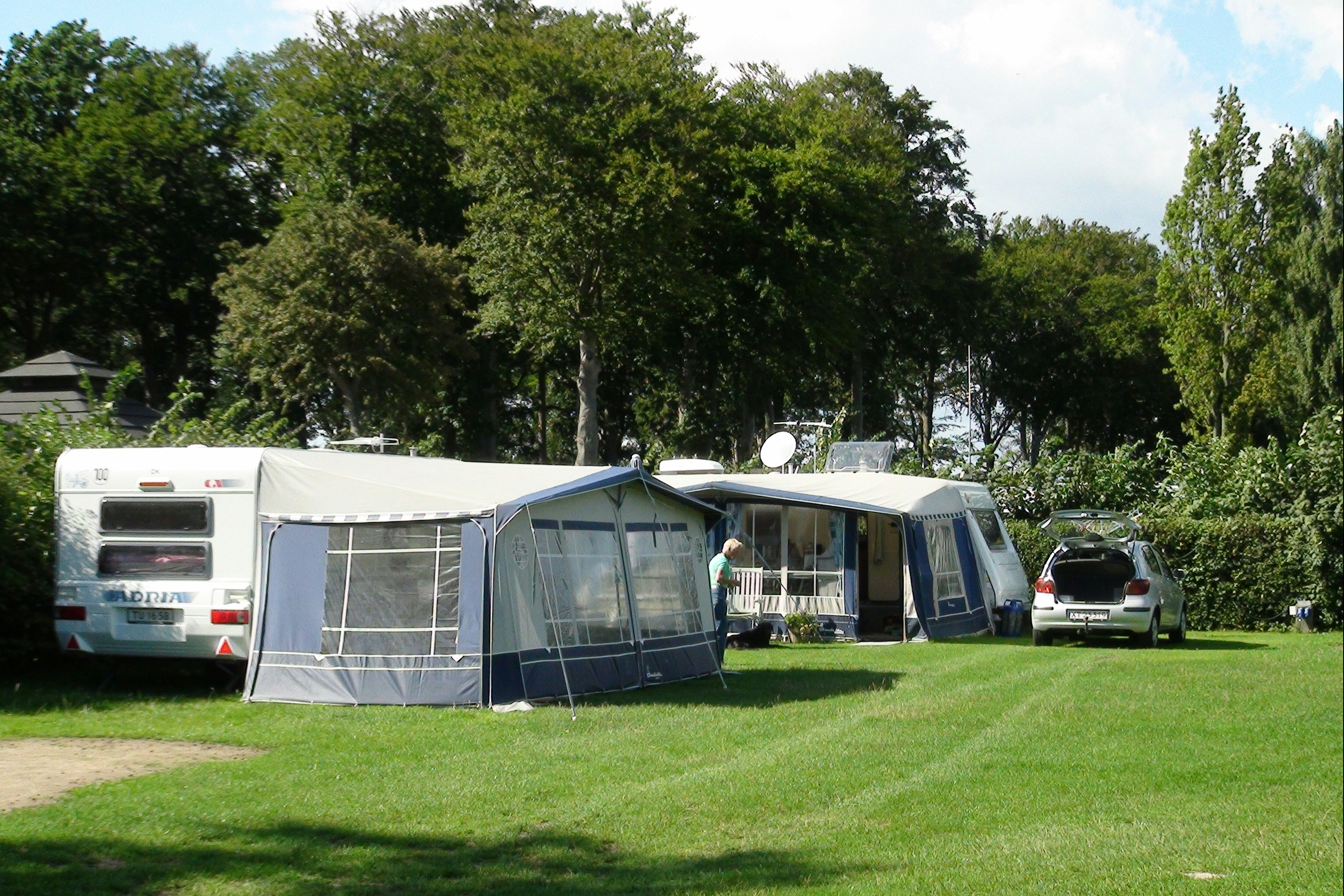 Nysted Strand Camping - Blick auf die Stellplätze im Grünen