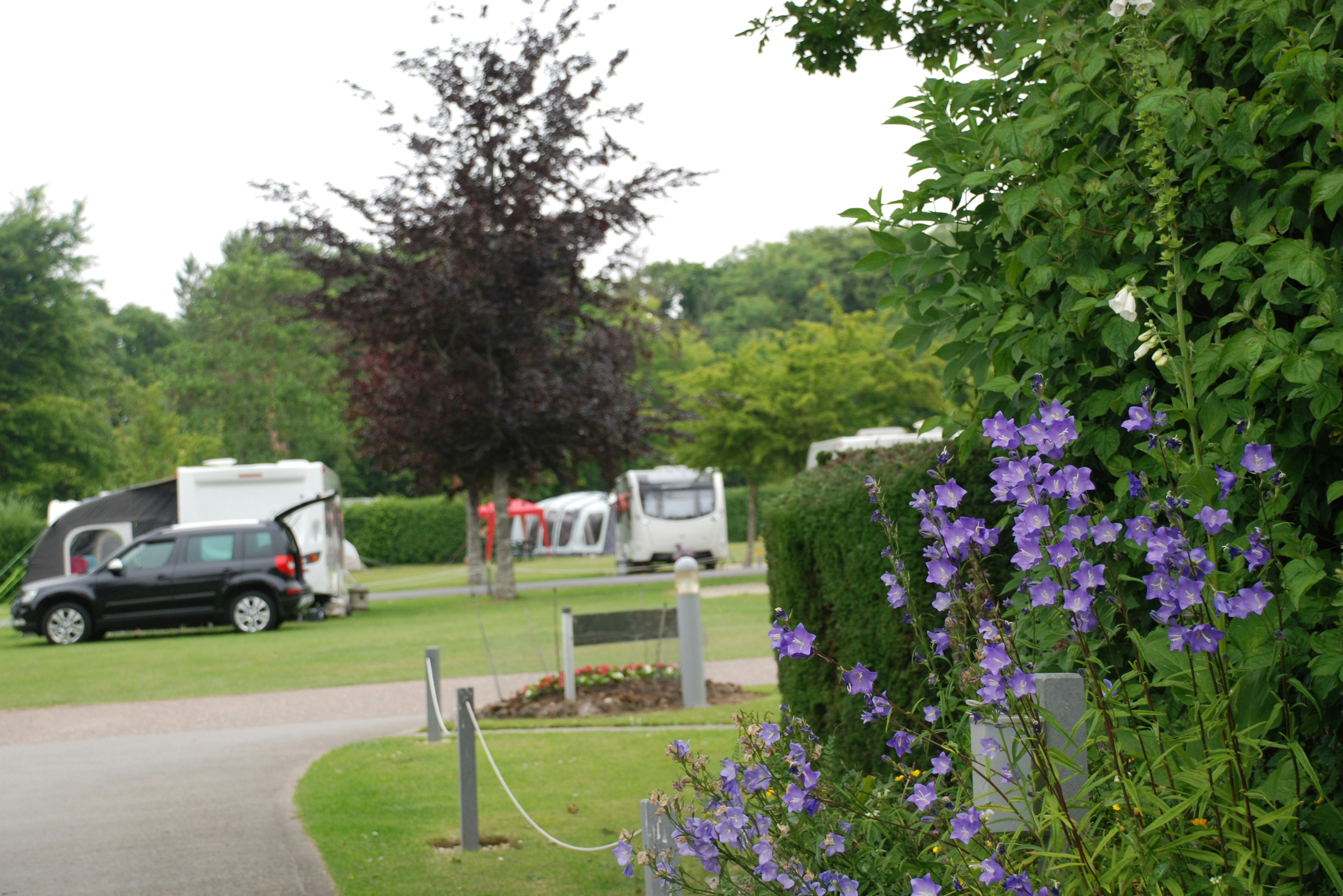 Oakdown Touring & Holiday Home Park - Standplätze auf dem Campingplatz