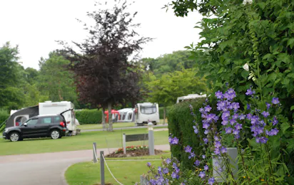Oakdown Touring & Holiday Home Park