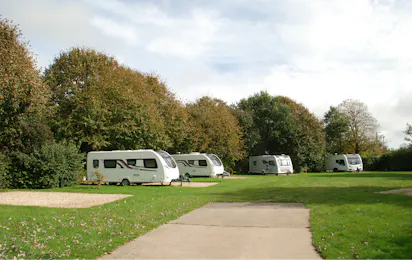 Oakdown Touring & Holiday Home Park