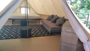 357577791.jpg