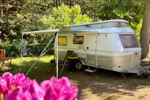 Wohnwagen auf einem Campingplatz im Grünen, mit Vorzelt und Campingstühlen am Weg, umgeben von Bäumen und Blumen.