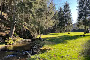 Grüne Wiese am Bachlauf im Wald, umgeben von Bäumen und Felswand, mit Blick auf den Campingbereich.