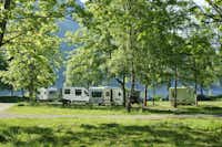 Odda Camping  -  Stellplatz vom Campingplatz auf grüner Wiese zwischen Bäumen